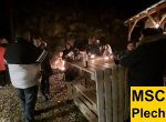Wintergrillen